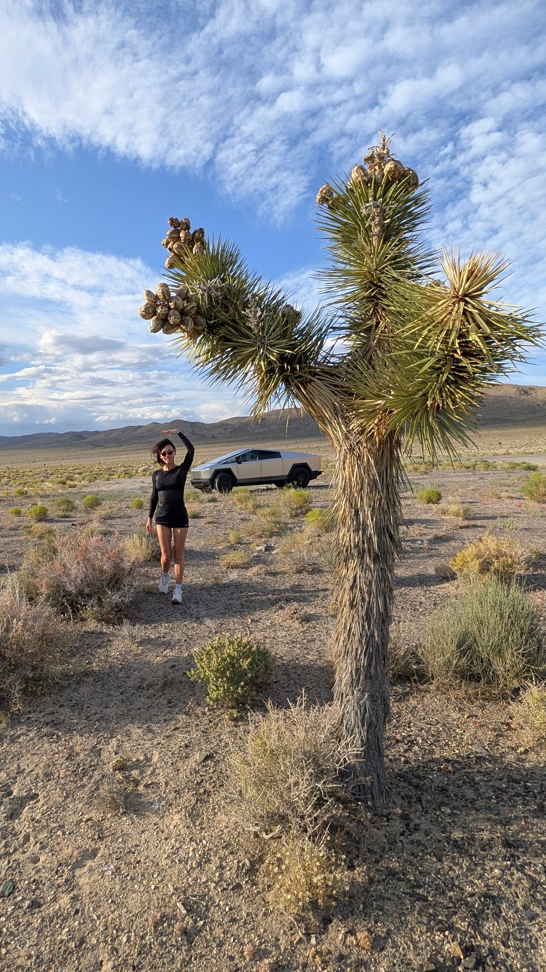 Masha standing beside a Cybertruck next to a Joshua tree in the desert.