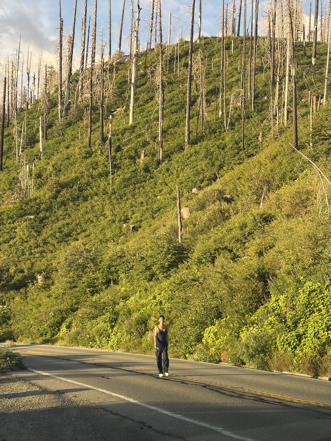 A lone figure walking along a road through a hillside of burned trees under a cloudy sky.
